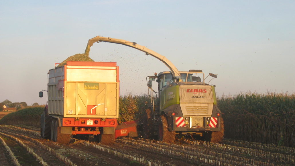 Prestation ensilage maïs Nord Finistère