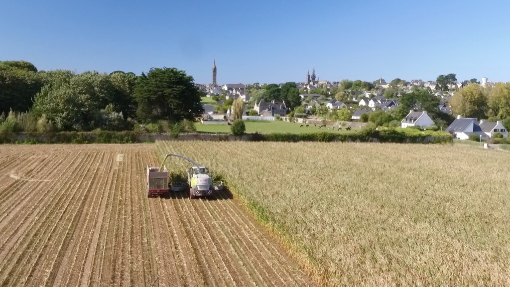 Prestation ensilage maïs Nord Finistère